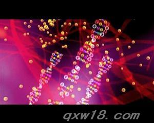 天行健糖尿病治療儀